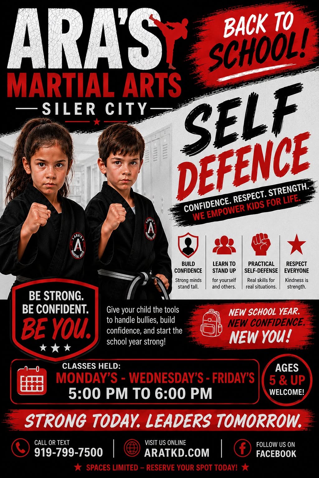 Ara's Martial Arts Self-Defense — Hapkido & Taekwondo in Siler City
