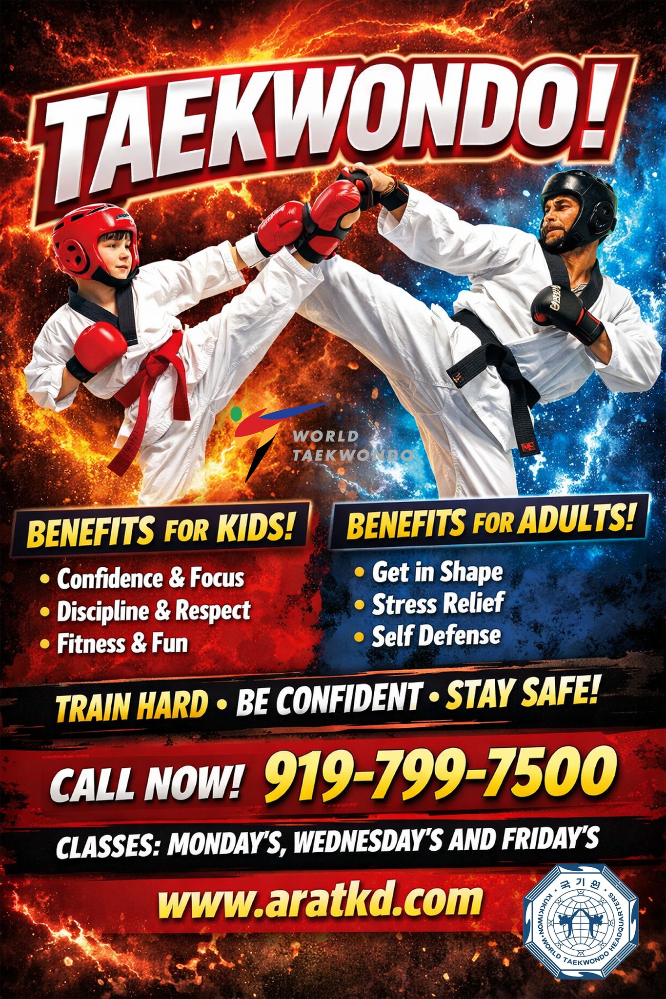 Taekwondo benefits flyer